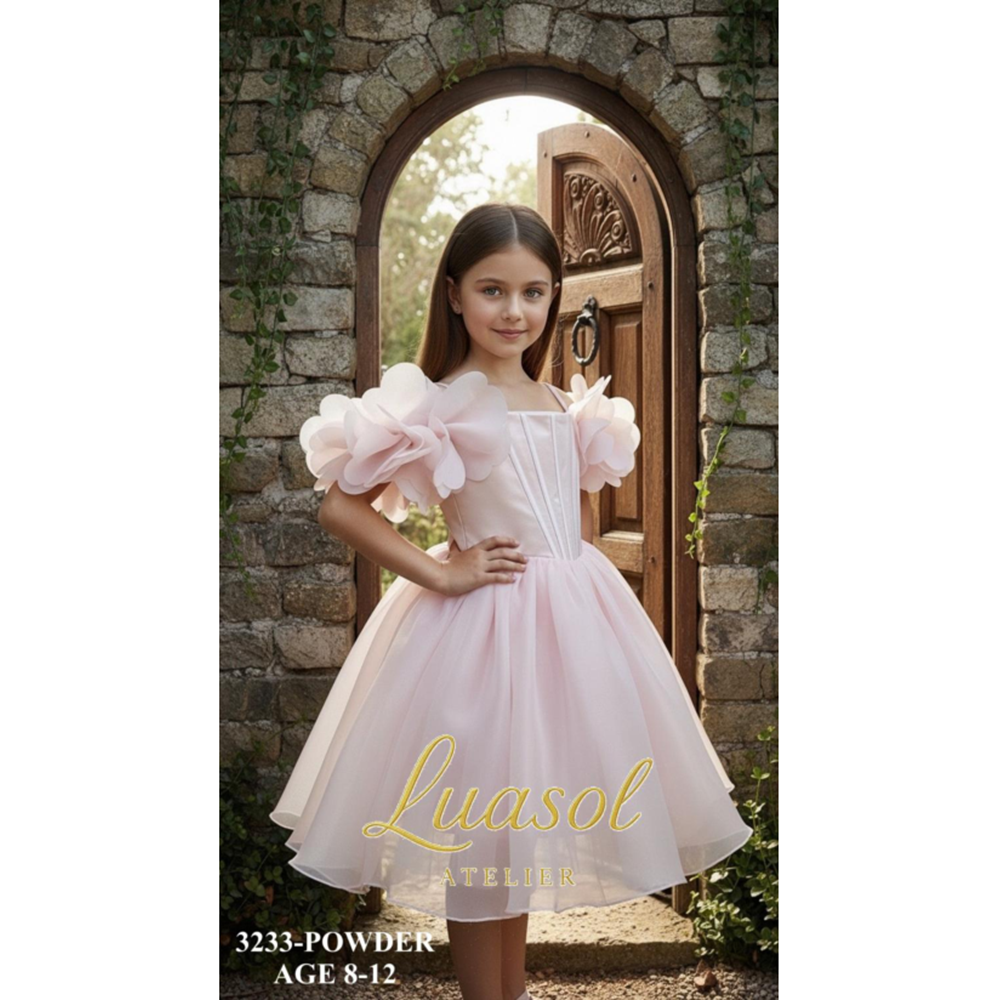 3233 ELBİSE - PUDRA - 10 YAŞ