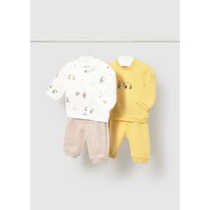 ORME SET (4'LU)